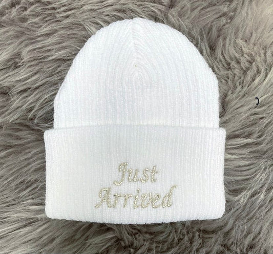 Just Arrived Knit Hat